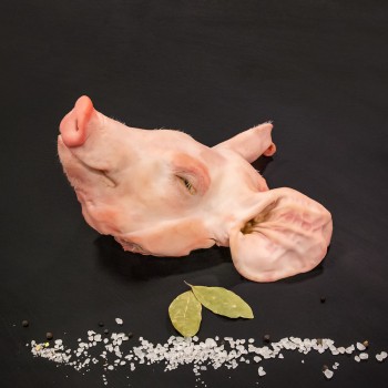 ΚΕΦΑΛΙ ΑΠΟ ΓΟΥΡΟΥΝΑΚΙ ΕΛΛΑΔΟΣ ΚΕΦΑΛΙ ΑΠΟ ΓΟΥΡΟΥΝΑΚΙ ΕΛΛΑΔΟΣ