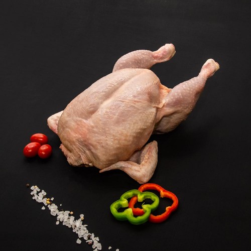 ΚΟΤΟΠΟΥΛΟ ΟΛΟΚΛΗΡΟ