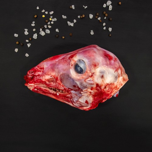 ΑΡΝΙ ΚΕΦΑΛΑΚΙ