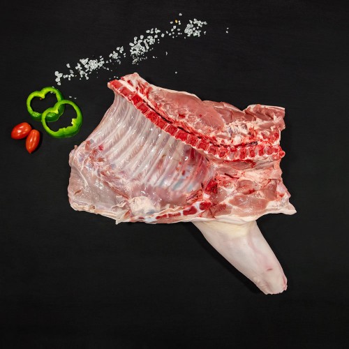 ΓΟΥΡΟΥΝΑΚΙ ΕΛΛΑΔΟΣ ΜΠΡΟΣΤΙΝΟ