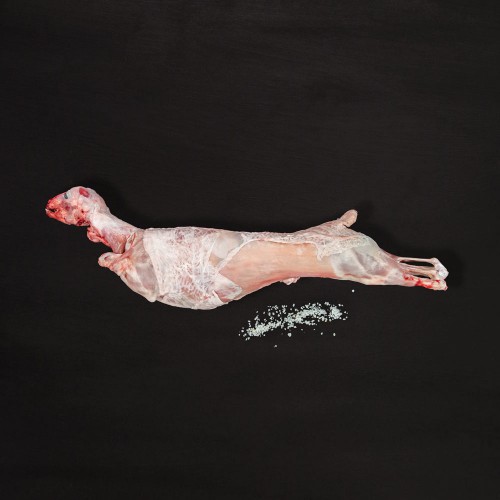 ΚΑΤΣΙΚΑΚΙ ΟΛΟΚΛΗΡΟ